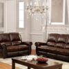 Furniture of America Turton Transitional Brown Sofa Collection