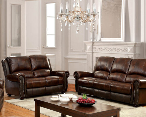 Furniture of America Turton Transitional Brown Sofa Collection