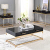 Adiel 82348 2 Strorage Drawers with Acrylic Legs - Black & Gold Finish