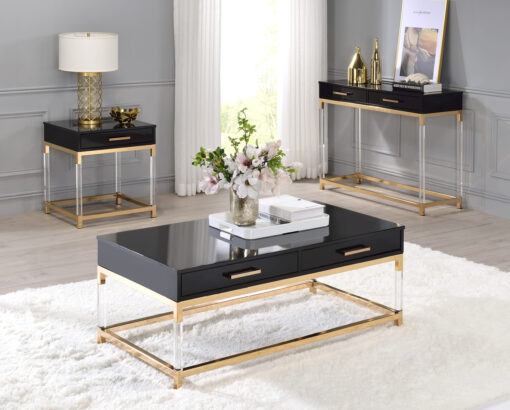 Adiel 82348 2 Strorage Drawers with Acrylic Legs - Black & Gold Finish