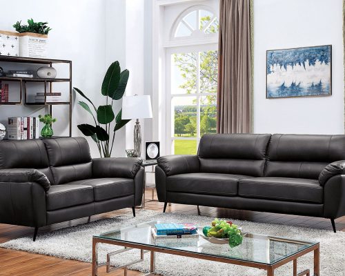 Furniture of America Clarke Contemporary Gray Sofa Collection