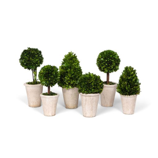 Park Hill Collection of Boxwood Topiaries Assorted Sizes - Set of 6 - Image 5