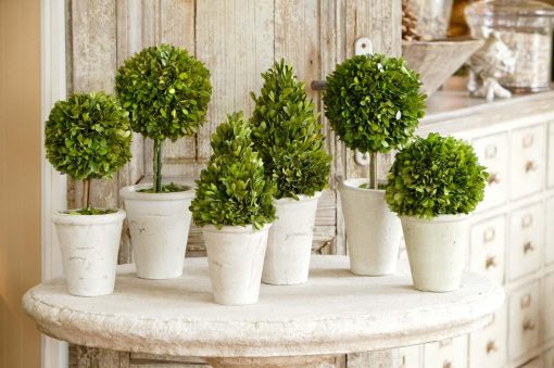 Park Hill Collection of Boxwood Topiaries Assorted Sizes - Set of 6 - Image 2