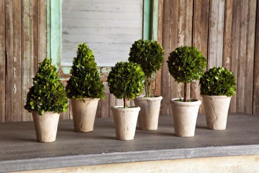 Park Hill Collection of Boxwood Topiaries Assorted Sizes - Set of 6 - Image 4