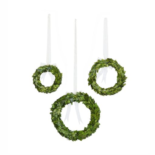 Park Hill Preserved Boxwood Wreaths with Ivory Ribbon - Set of 3 - Image 7