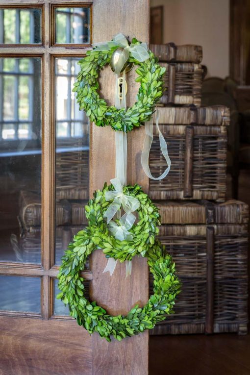 Park Hill Preserved Boxwood Wreaths with Ivory Ribbon - Set of 3 - Image 2