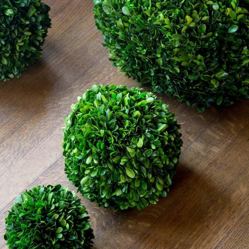 Park Hill Preserved Boxwood Ball