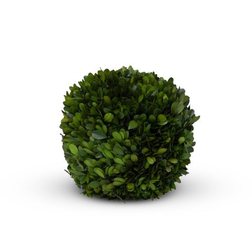 Park Hill Preserved Boxwood Ball - Image 10