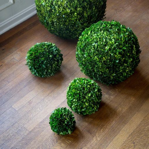 Park Hill Preserved Boxwood Ball - Image 3