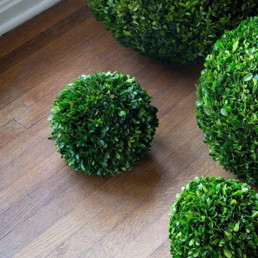 Park Hill Preserved Boxwood Ball - Image 4