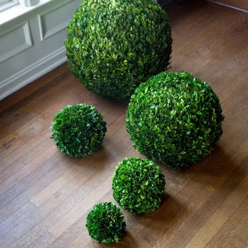 Park Hill Preserved Boxwood Ball - Image 5