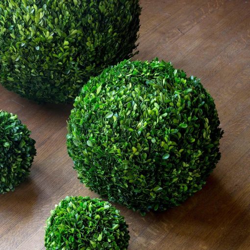 Park Hill Preserved Boxwood Ball - Image 7