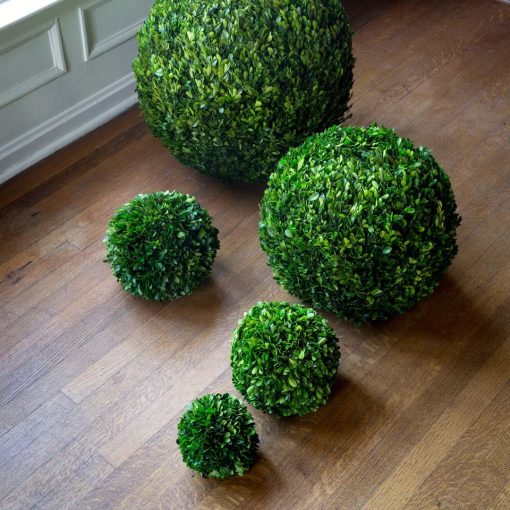 Park Hill Preserved Boxwood Ball - Image 8