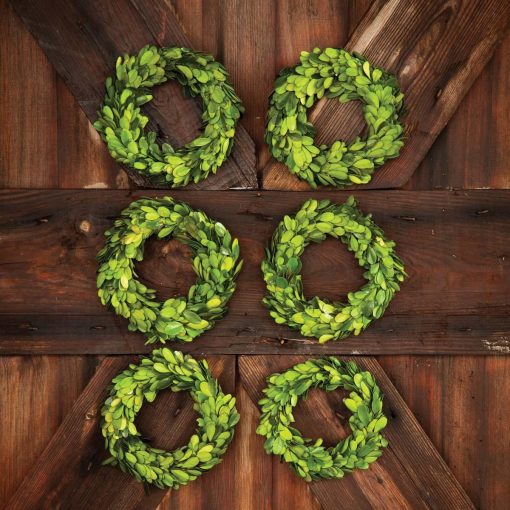 Park Hill Mini Preserved Boxwood Wreaths - Set of 6 - Image 4