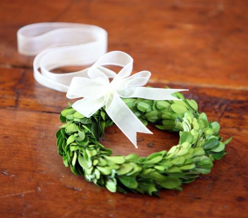 Park Hill Mini Preserved Boxwood Wreaths - Set of 6 - Image 5