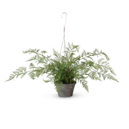 Park Hill Potted Hanging Large Fern - Image 3