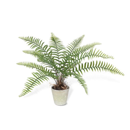 Park Hill Large Flat Fern Potted - Image 2