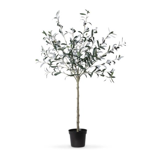 Park Hill Potted Olive Topiary - Image 5