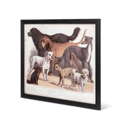 Park Hill Domestic Dogs Framed Print - Image 5