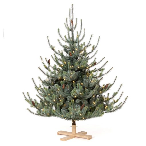 Park Hill Blue Spruce Christmas Tree - 5.5' Tree Lot - Image 2