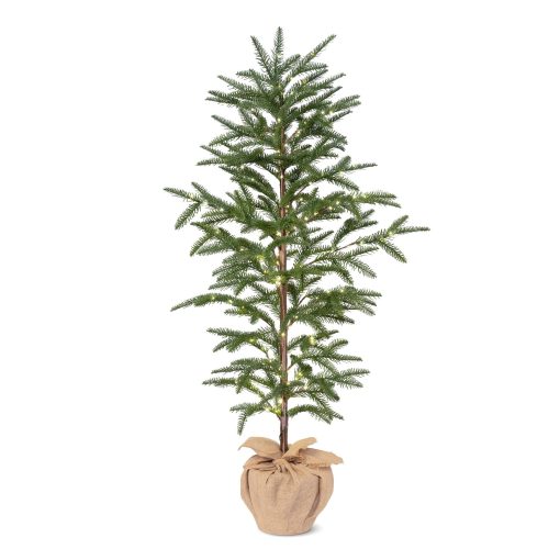 Park Hill Noble Fir Tree with Micro Lights - 60" - Image 4