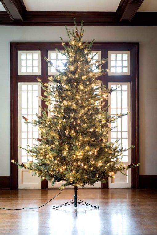 Park Hill Blue Spruce Christmas Tree - Image 6