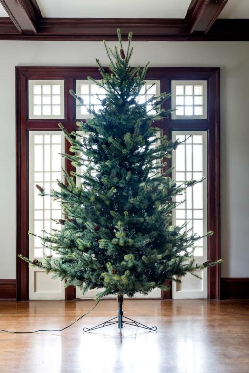 Park Hill Blue Spruce Christmas Tree - Image 7