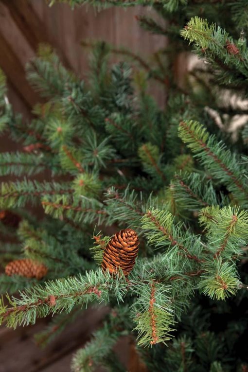 Park Hill Blue Spruce Christmas Tree - Image 18