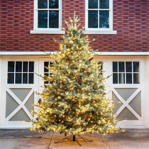 Park Hill Blue Spruce Christmas Tree - 12' - Image 2