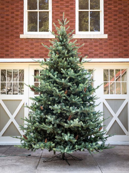 Park Hill Blue Spruce Christmas Tree - 12'