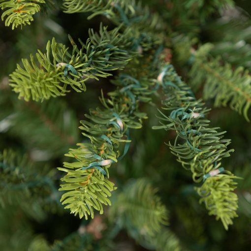 Park Hill Great Northern Spruce Christmas Tree - Image 9