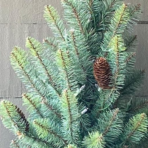 Park Hill Blue Spruce Slim Christmas Tree - 12' - Image 7