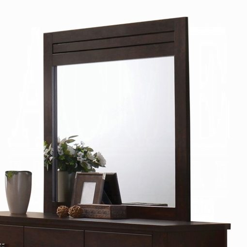 Acme Panang Mahogany Mirror