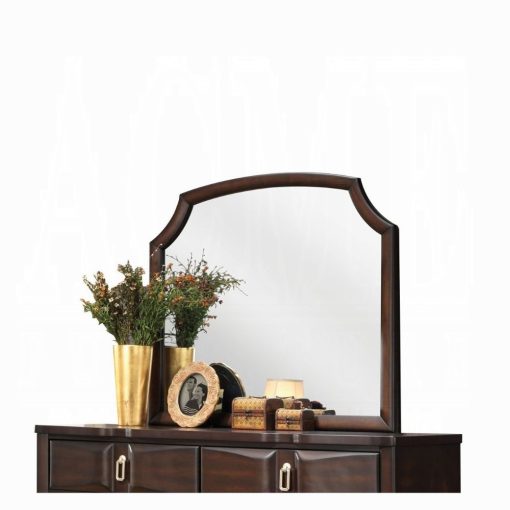 Acme Lancaster Espresso Mirror