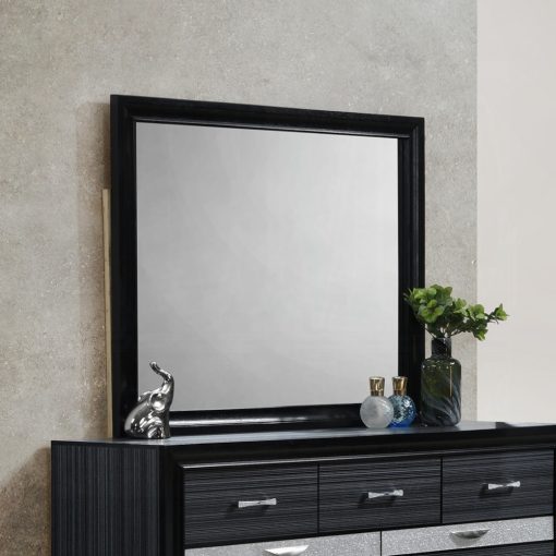 Acme Naima Black Composite Wood Mirror
