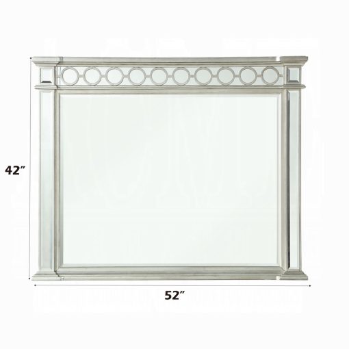 Acme Varian Mirrored Mirror - Image 4