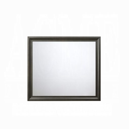 Acme Soteris Antique Gray Mirror