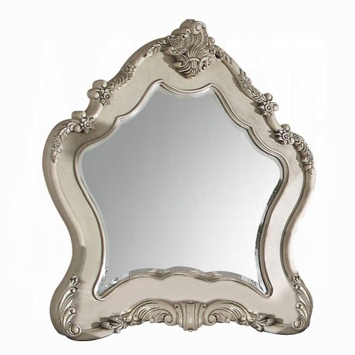 Acme Ragenardus Antique White Mirror - Image 2