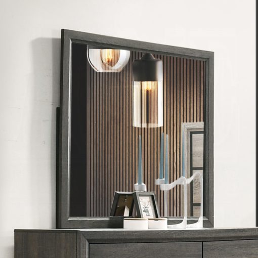 Acme Valdemar Weathered Gray Mirror
