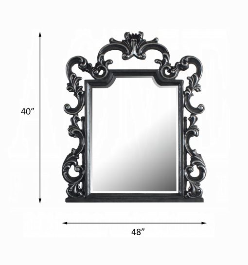 Acme House Charcoal Delphine Mirror - Image 4