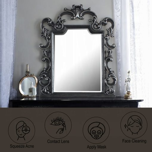 Acme House Charcoal Delphine Mirror - Image 5