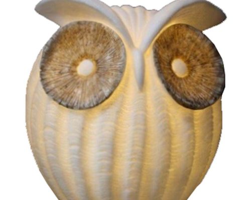 The Light Garden Owl Lamp 9.25"H