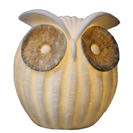 The Light Garden Owl Lamp 9.25"H