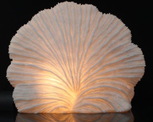 The Light Garden Striped Fan Coral Lamp