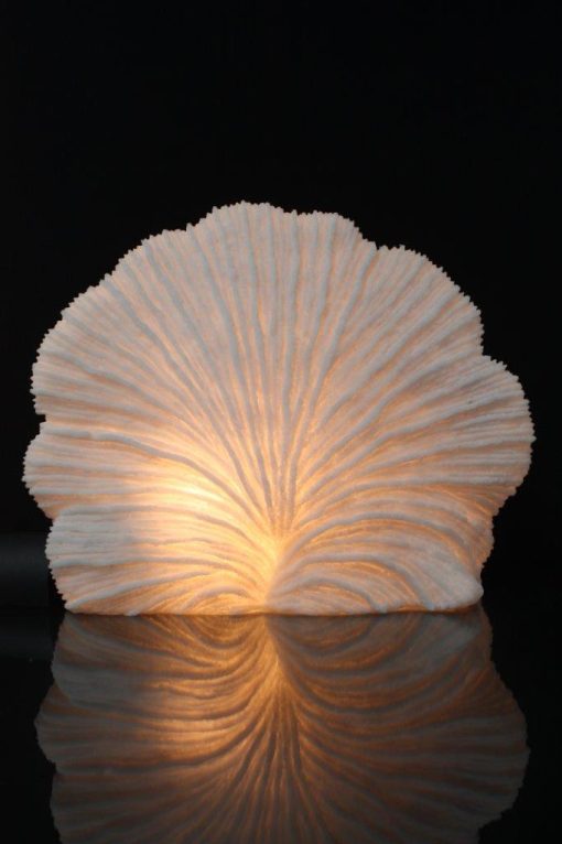 The Light Garden Striped Fan Coral Lamp