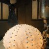 The Light Garden Sea Urchin