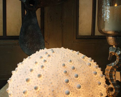 The Light Garden Sea Urchin