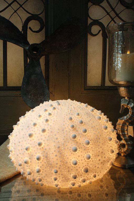 The Light Garden Sea Urchin