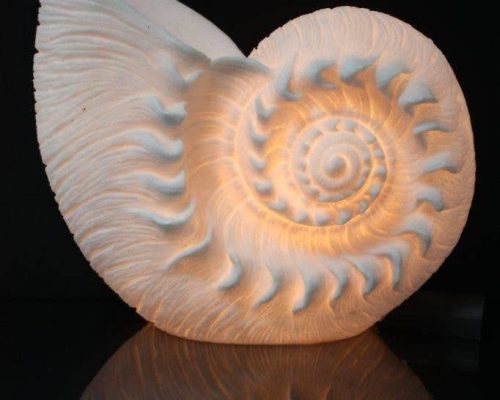 The Light Garden Nautilus Lamp