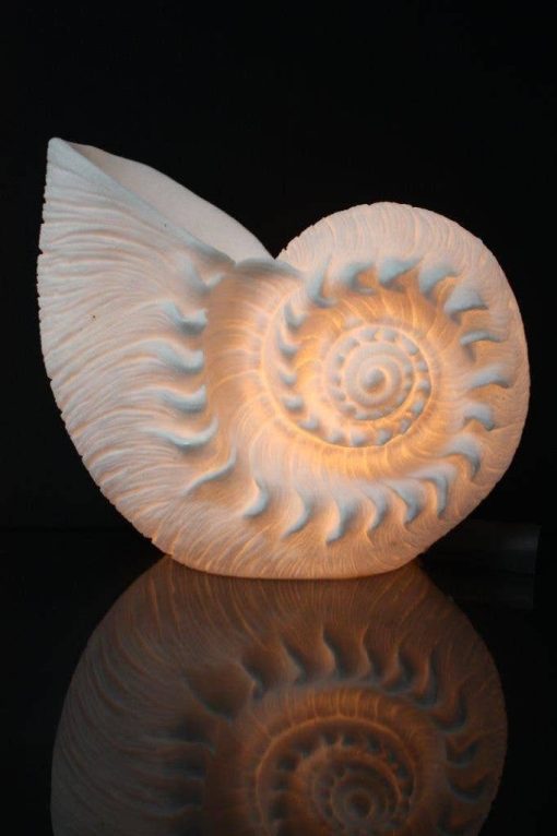 The Light Garden Nautilus Lamp